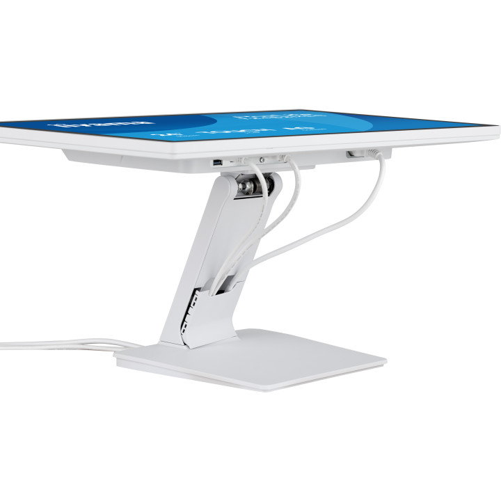 Iiyama Prolite T2452MSC-W2AG