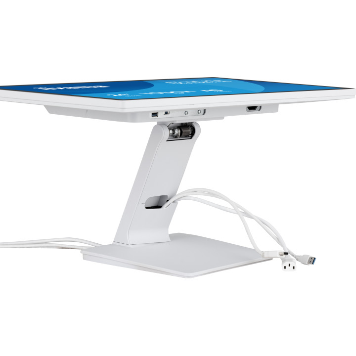 Iiyama Prolite T2452MSC-W2AG
